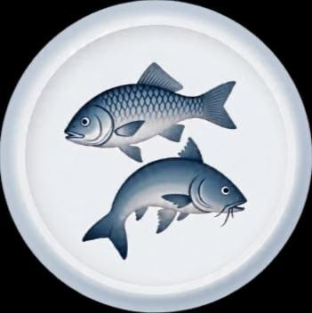 Logo bfishery